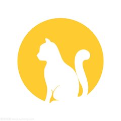 纸飞机通讯怎么才能在国内用