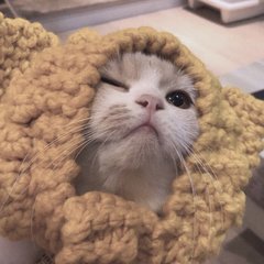 imtoken钱包宽带去哪里弄